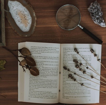 Livre et loupe JC Correction Pau